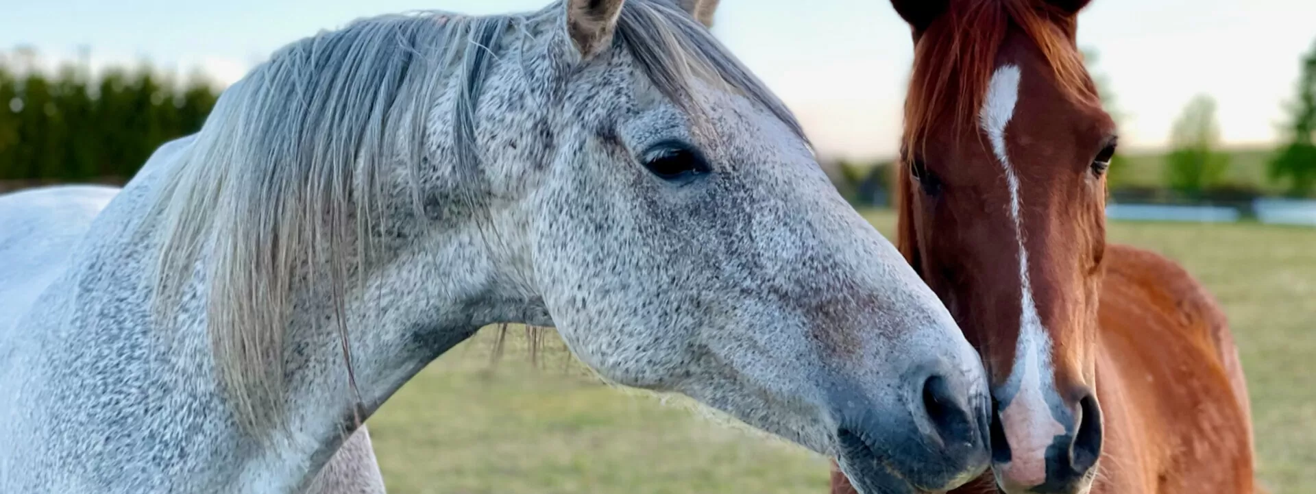 Untitled-2 HEARTLAND