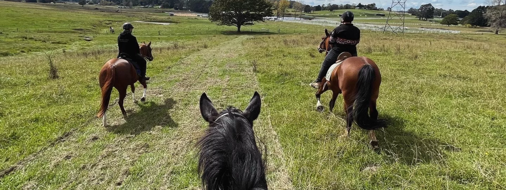 Untitled design (62) HEARTLAND