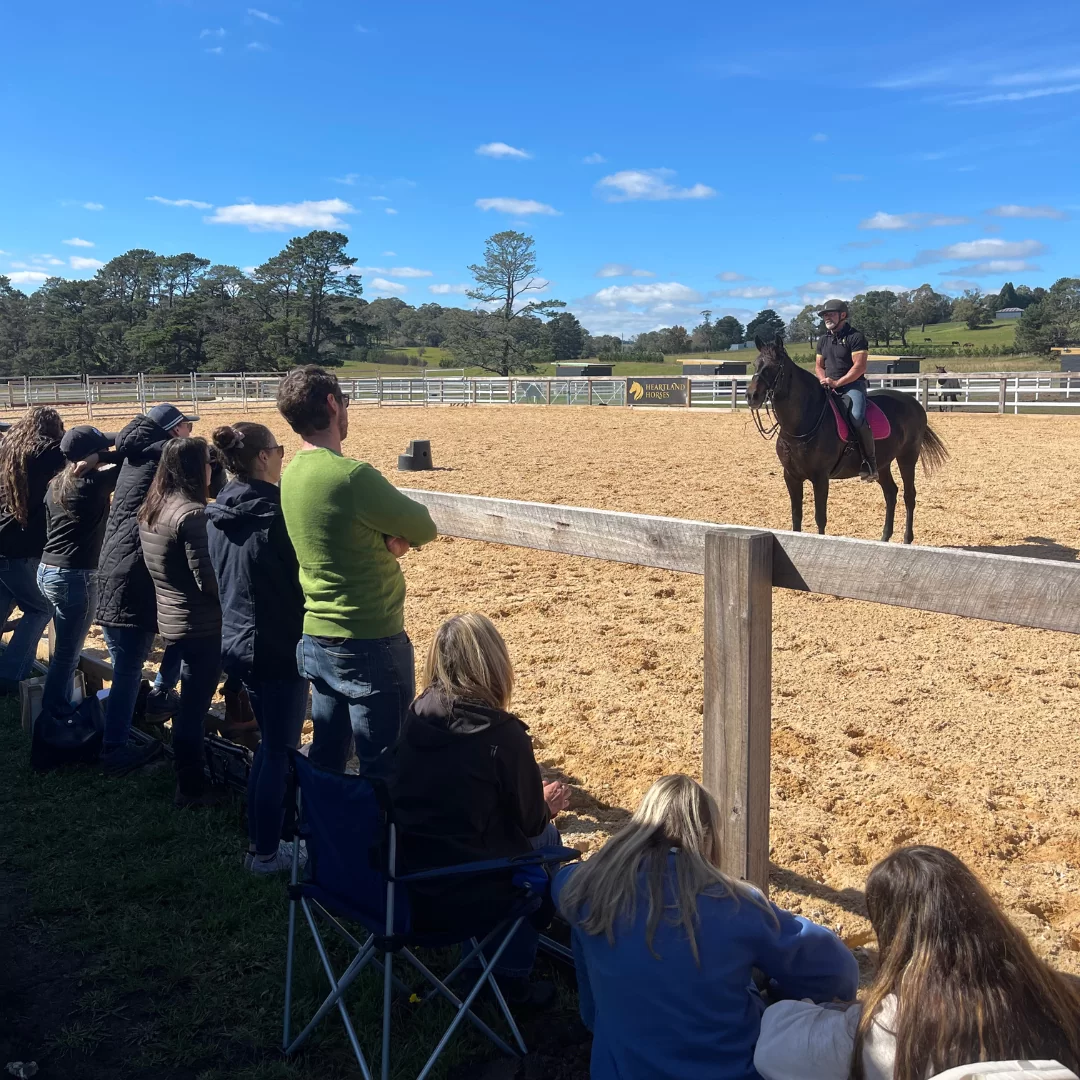 Horse Training Clinics Near Me Horse Training Clinics Near Me
