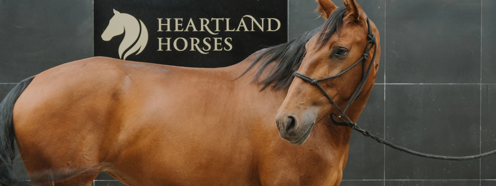 HEARTLAND